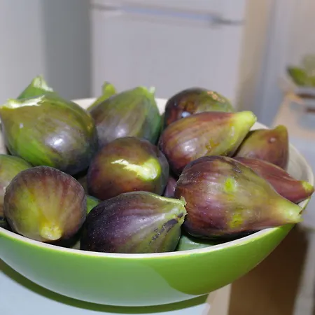 Diffuso Dimora Rossi Turi